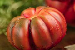Tomato_Corona