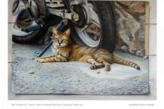 1_Il_Gatto_02