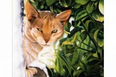 Il_Gatto