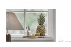 fensterblick